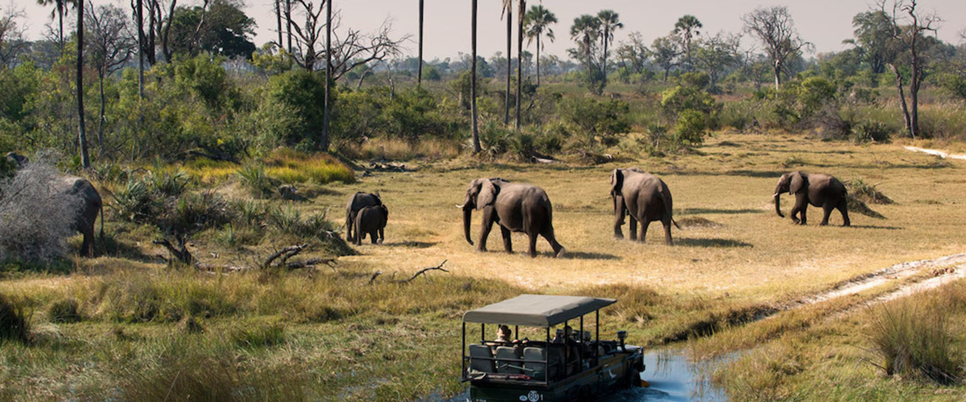 Zanzibar Private Transfer