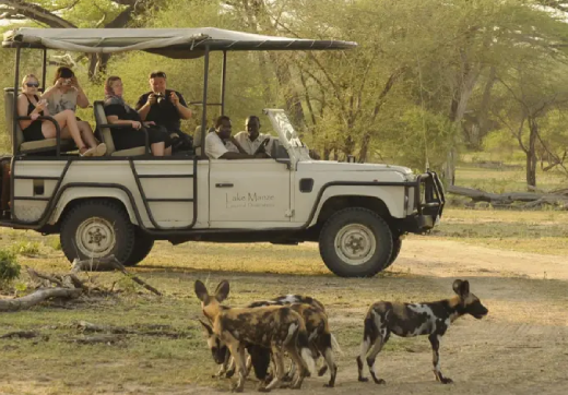 3 Days 2 Nights Serengeti Safari & Balloon From Zanzibar