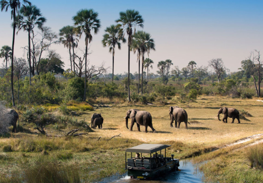 2 Days 1 Night Selous Safari From Zanzibar