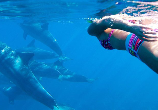 Dolphin Tour Kizimkazi
