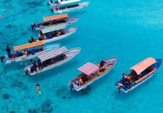 Mnemba Snorkeling