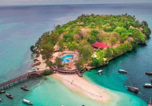 Stone Town + Prison Island