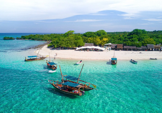Zanzibar safari blue