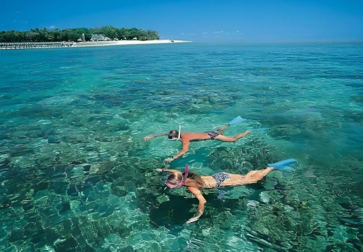 Mnemba Snorkeling