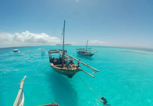 Mnemba Snorkeling