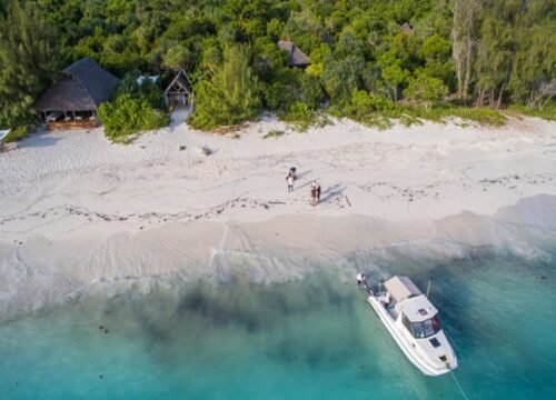 Mnemba Island Snorkeling Tour