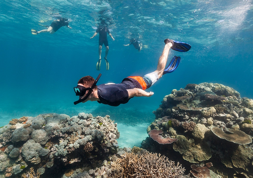 Zanzibar Tours