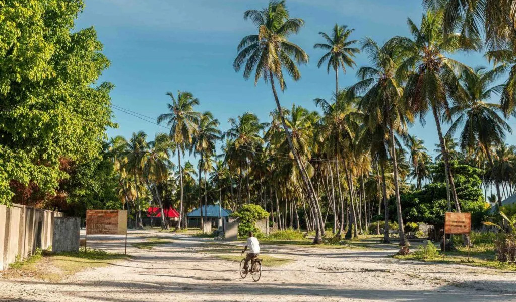 kll - Go Zanzibar Tours & safaris