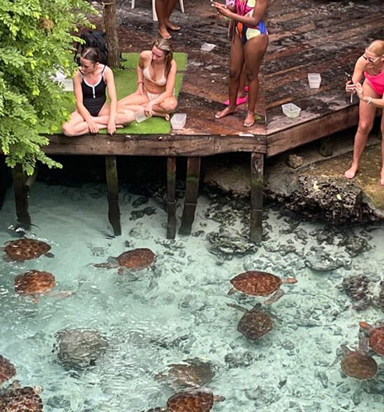 Discovery Islands
