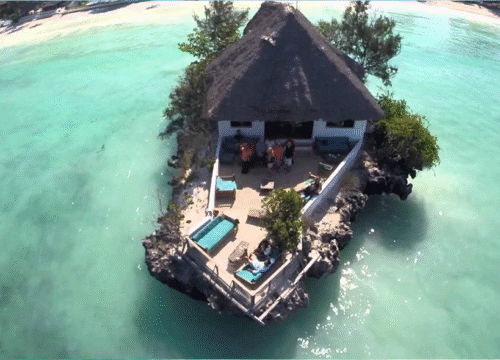 Jozani forest & swimming with turtles & rock restaurant
