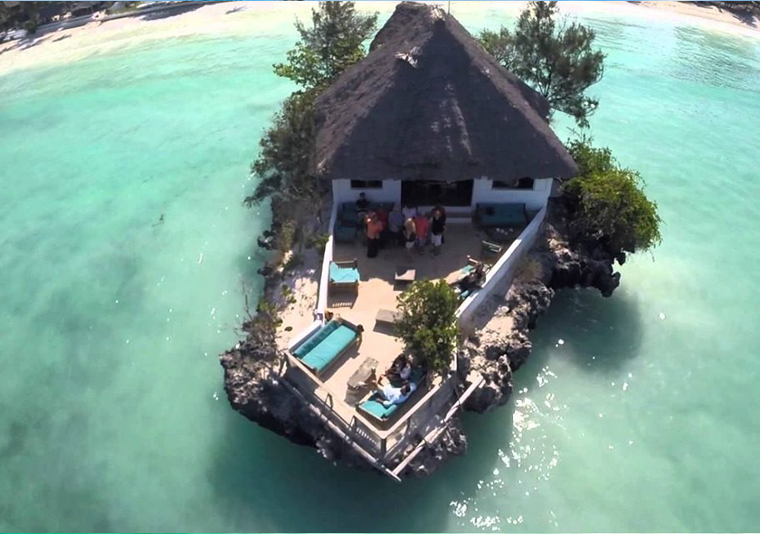 Jozani forest & swimming with turtles & rock restaurant
